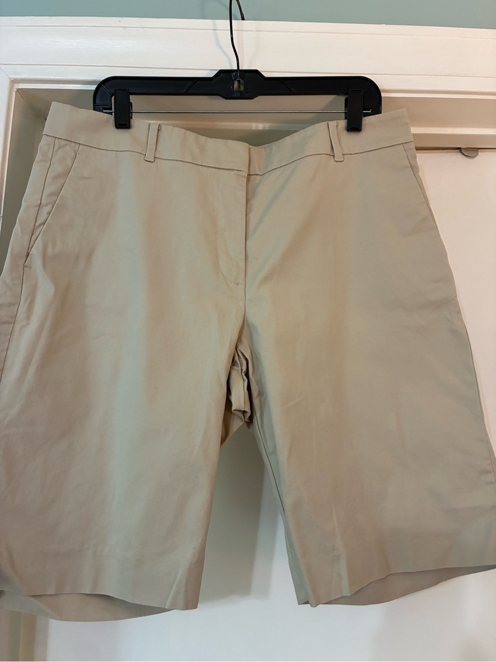 Ann Taylor size 12 shorts